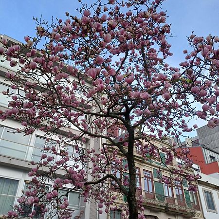 Apartmán Otf- Porto Centro Exteriér fotografie