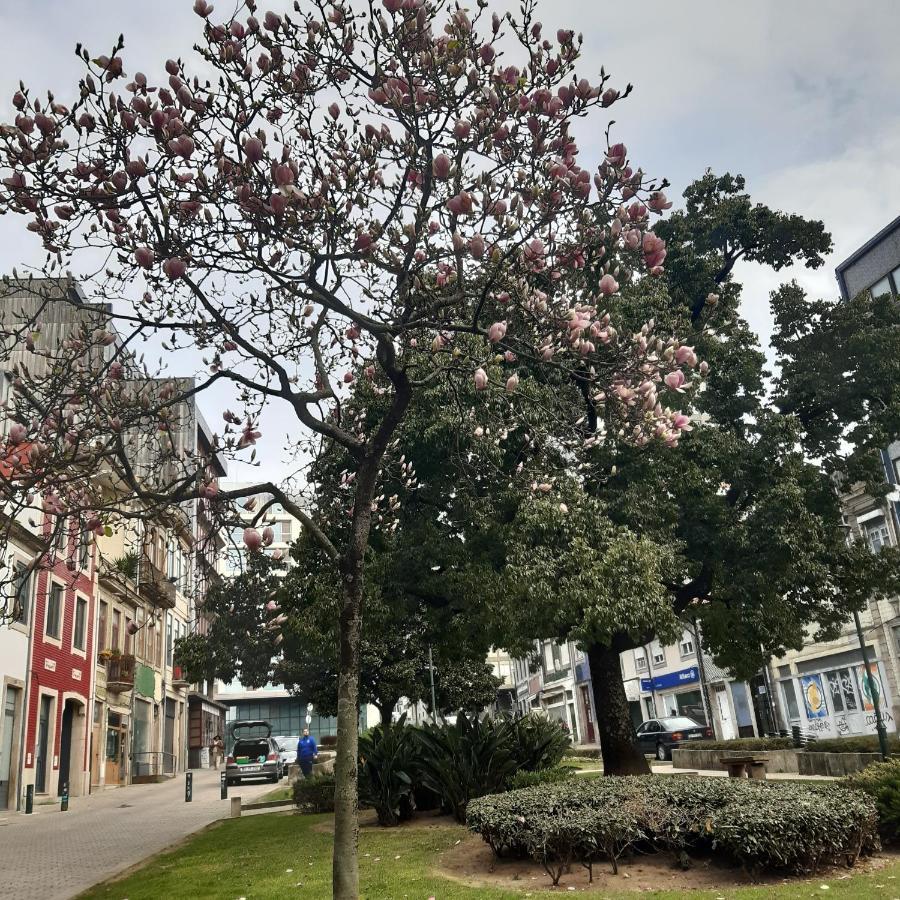 Apartmán Otf- Porto Centro Exteriér fotografie