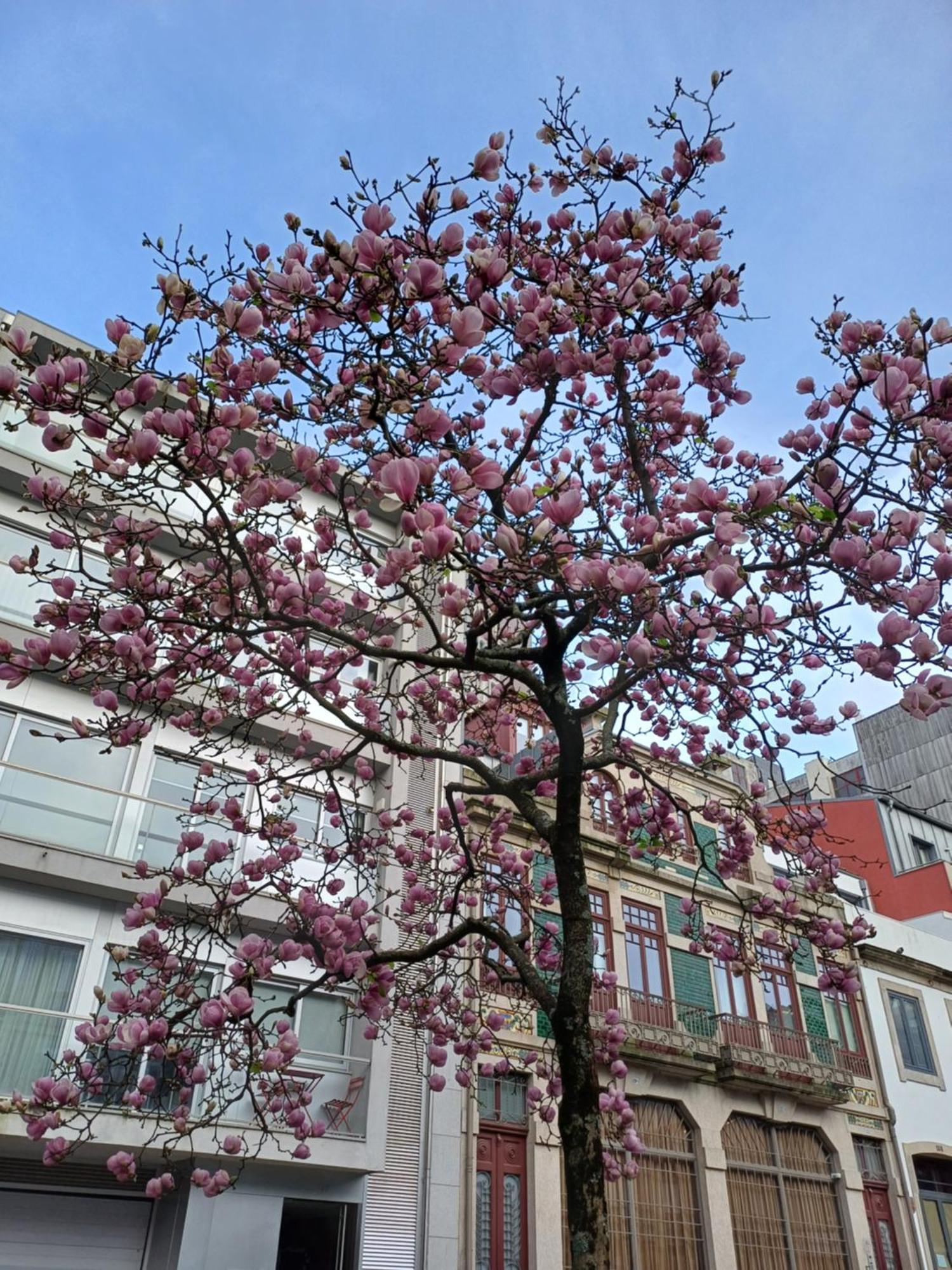 Apartmán Otf- Porto Centro Exteriér fotografie